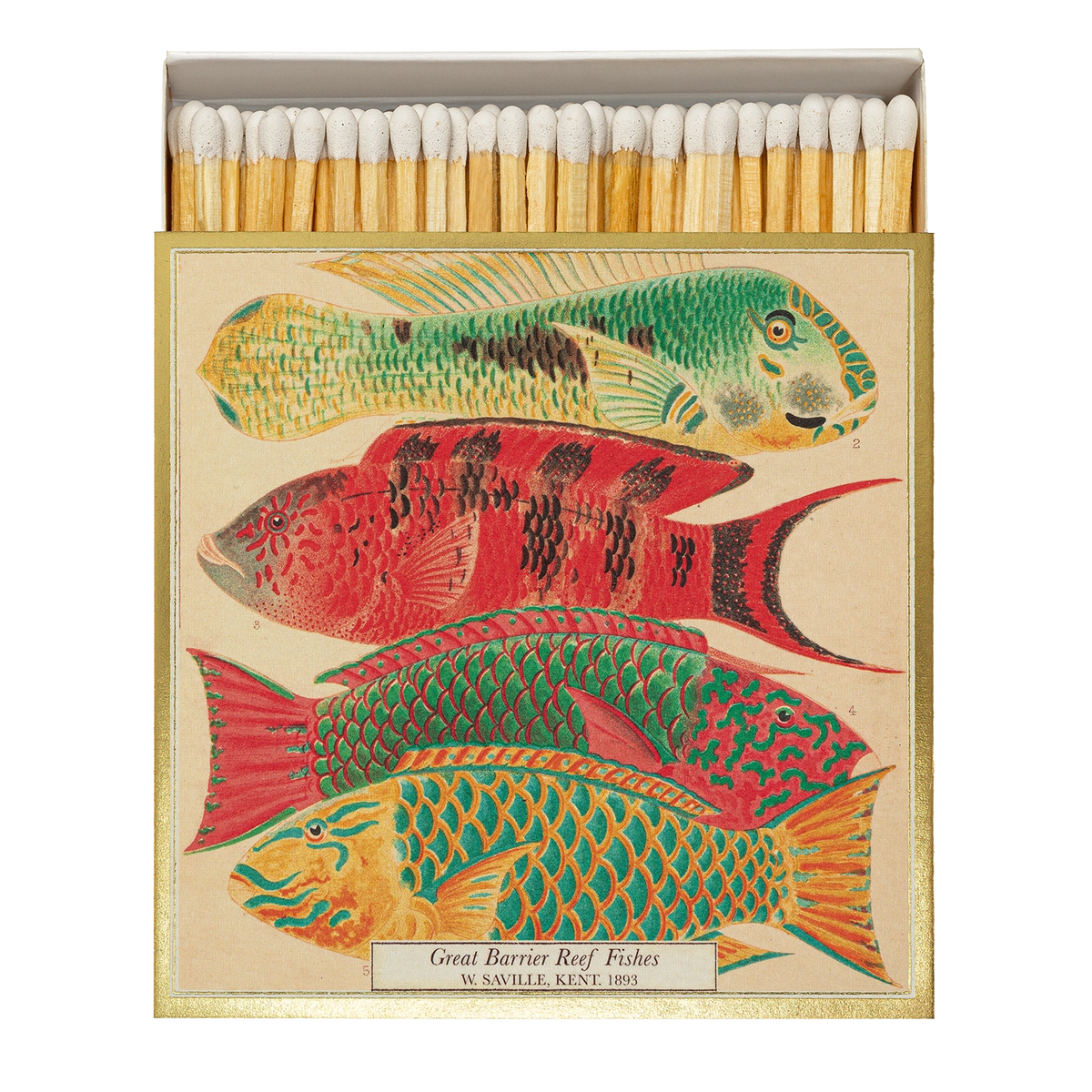 Zündhölzer | Fish